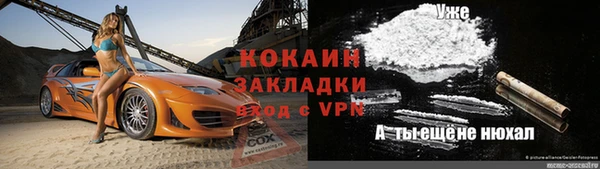 стаф Волосово