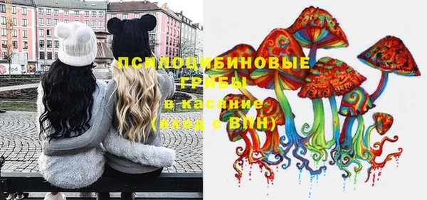 стаф Волосово