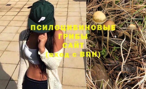 стаф Волосово