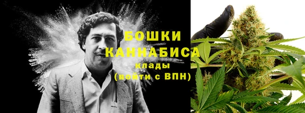 ГАЛЛЮЦИНОГЕННЫЕ ГРИБЫ Волоколамск