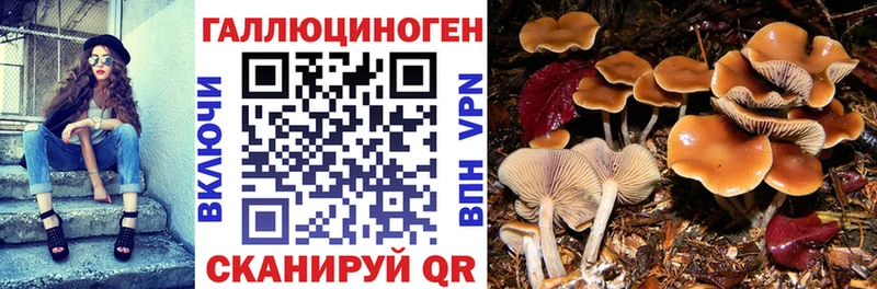 Галлюциногенные грибы GOLDEN TEACHER  гидра рабочий сайт  Наволоки 